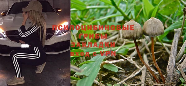 крисы Михайлов