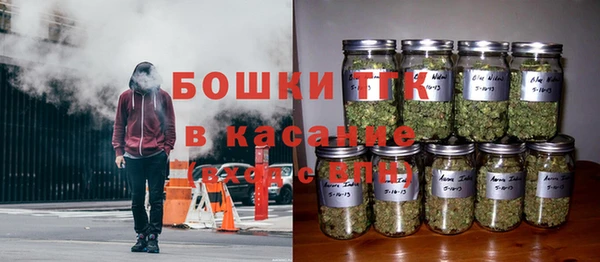 крисы Михайлов